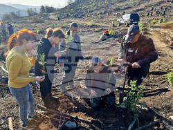 Велико Търново - Гарга баир - залесяване
