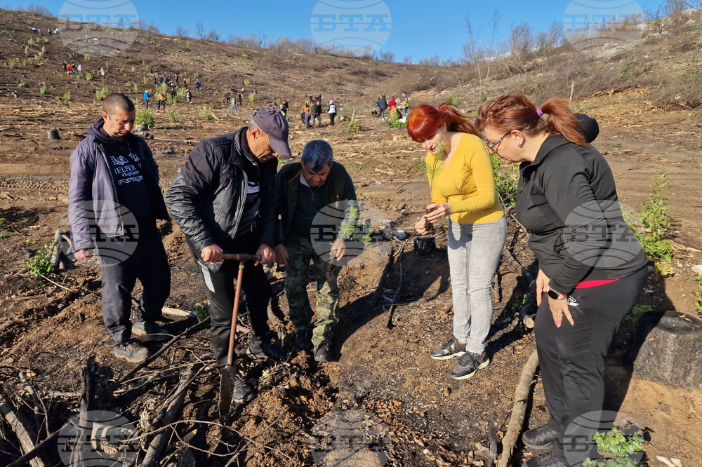 Велико Търново - Гарга баир - залесяване