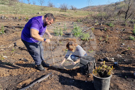 Велико Търново - Гарга баир - залесяване