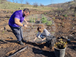 Велико Търново - Гарга баир - залесяване