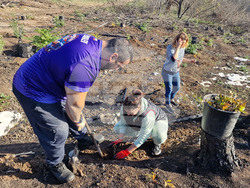 Велико Търново - Гарга баир - залесяване