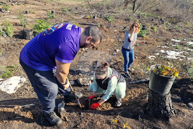 Велико Търново - Гарга баир - залесяване