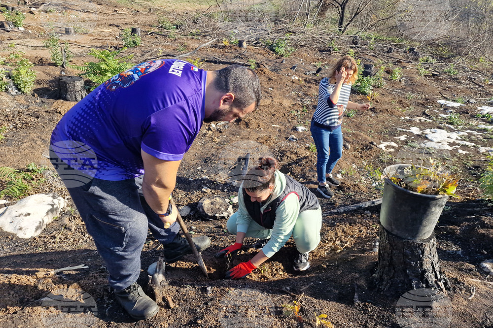 Велико Търново - Гарга баир - залесяване
