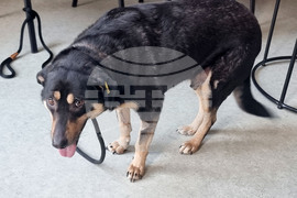 Перник - детска творческа работилница - коледни сувенири