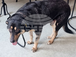 Перник - детска творческа работилница - коледни сувенири