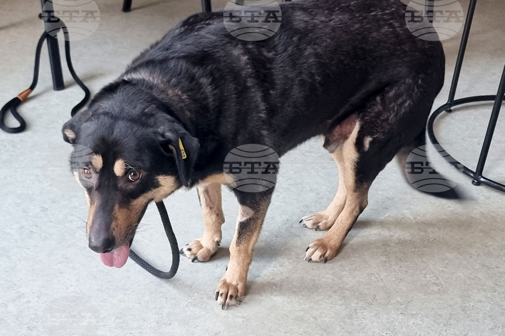 Перник - детска творческа работилница - коледни сувенири