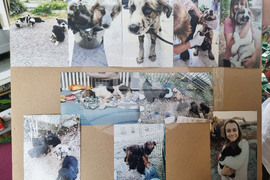 Перник - детска творческа работилница - коледни сувенири