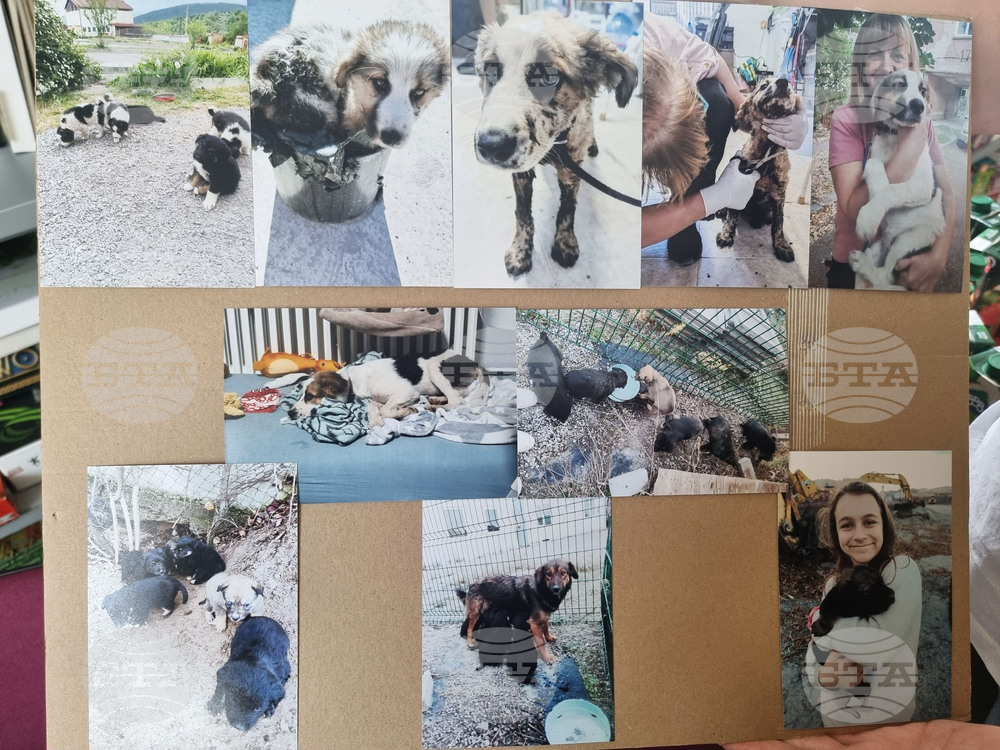 Перник - детска творческа работилница - коледни сувенири