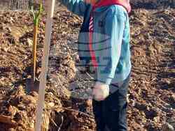 Снимка: Община Стара Загора 