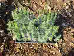 Снимка: Община Стара Загора 