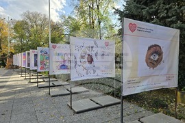 Пловдив - „Шофирай със сърце и разум“ - изложба