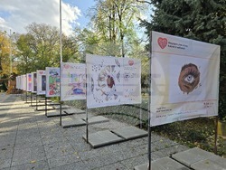 Пловдив - „Шофирай със сърце и разум“ - изложба