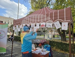 Пловдив - „Шофирай със сърце и разум“ - изложба