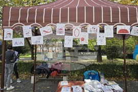 Пловдив - „Шофирай със сърце и разум“ - изложба