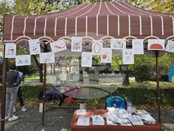 Пловдив - „Шофирай със сърце и разум“ - изложба