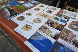 Пловдив - „Шофирай със сърце и разум“ - изложба