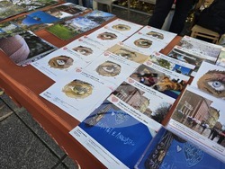 Пловдив - „Шофирай със сърце и разум“ - изложба