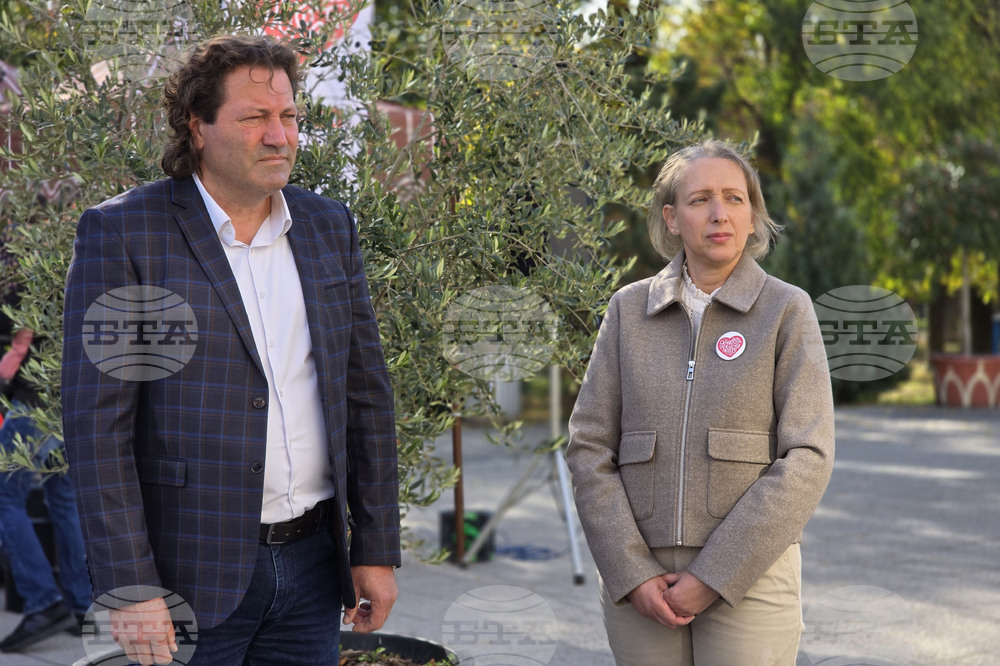 Пловдив - „Шофирай със сърце и разум“ - изложба