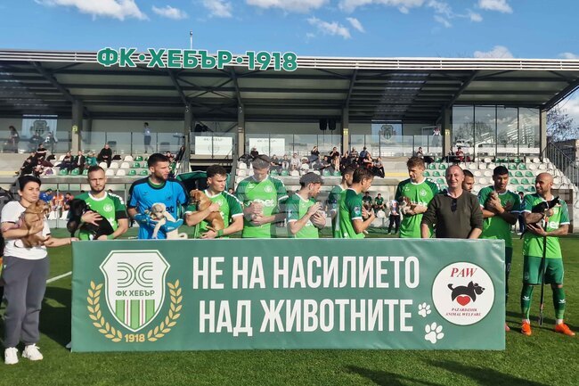 Пазарджик - футбол - Хебър - бездомни животни