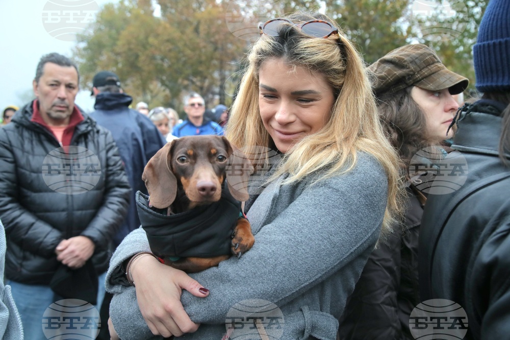 Сърбия - протест