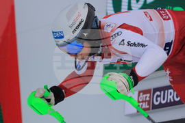 Austria Alpine Skiing World Cup