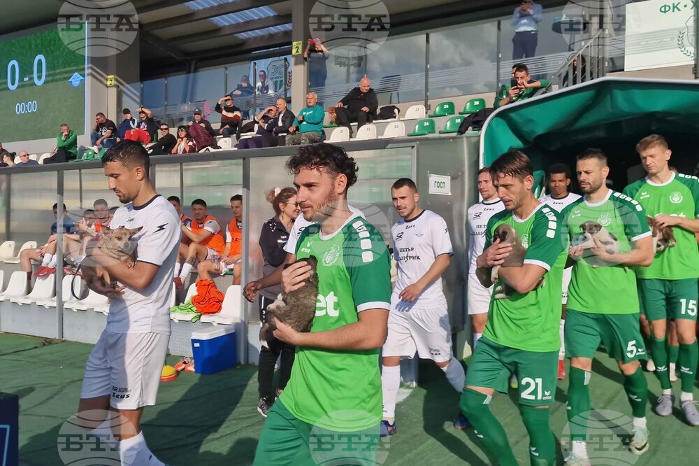 Пазарджик - футбол - Хебър - бездомни животни