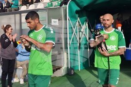 Пазарджик - футбол - Хебър - бездомни животни