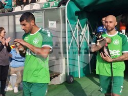 Пазарджик - футбол - Хебър - бездомни животни