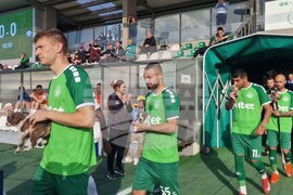 Пазарджик - футбол - Хебър - бездомни животни