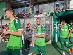 Пазарджик - футбол - Хебър - бездомни животни