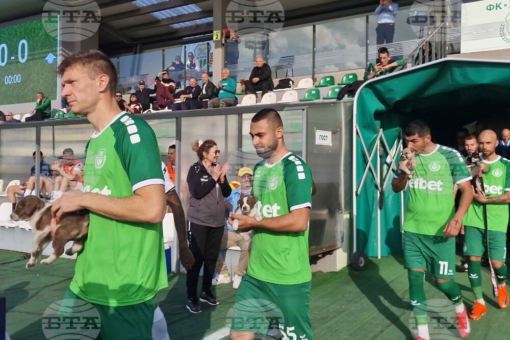 Пазарджик - футбол - Хебър - бездомни животни