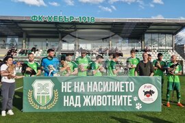 Пазарджик - футбол - Хебър - бездомни животни