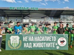 Пазарджик - футбол - Хебър - бездомни животни