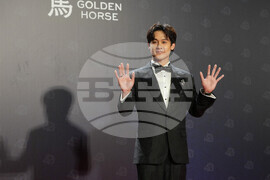 Taiwan Golden Horse Awards