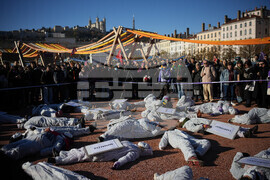 France Violence Against Women