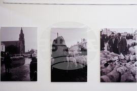 Germany Ireland Exhibition