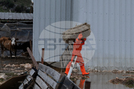 Albania Extreme Weather