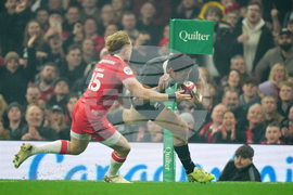 Wales New Zealand Rugby