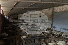 Albania Extreme Weather