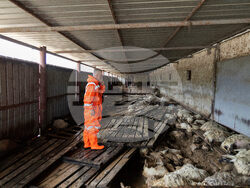 Albania Extreme Weather
