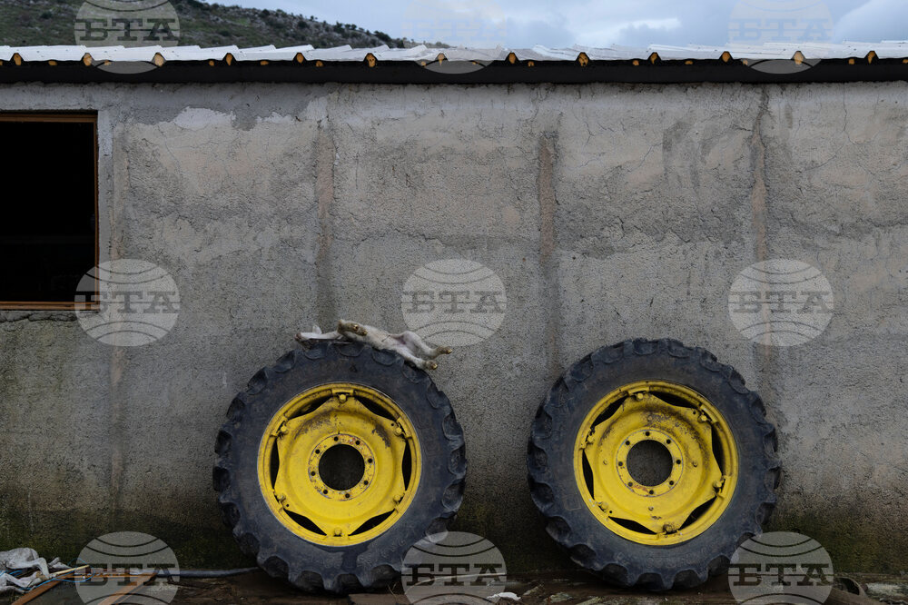 Albania Extreme Weather