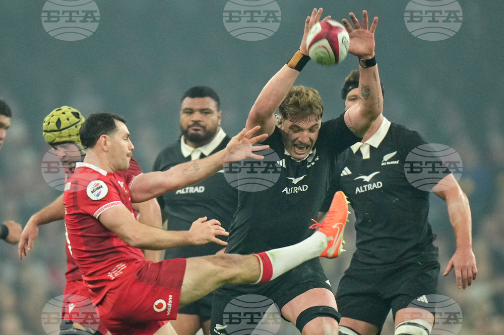 Wales New Zealand Rugby