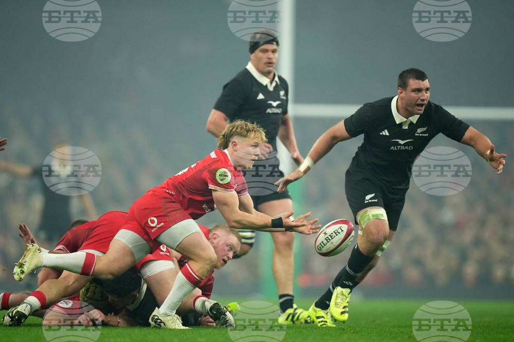 Wales New Zealand Rugby