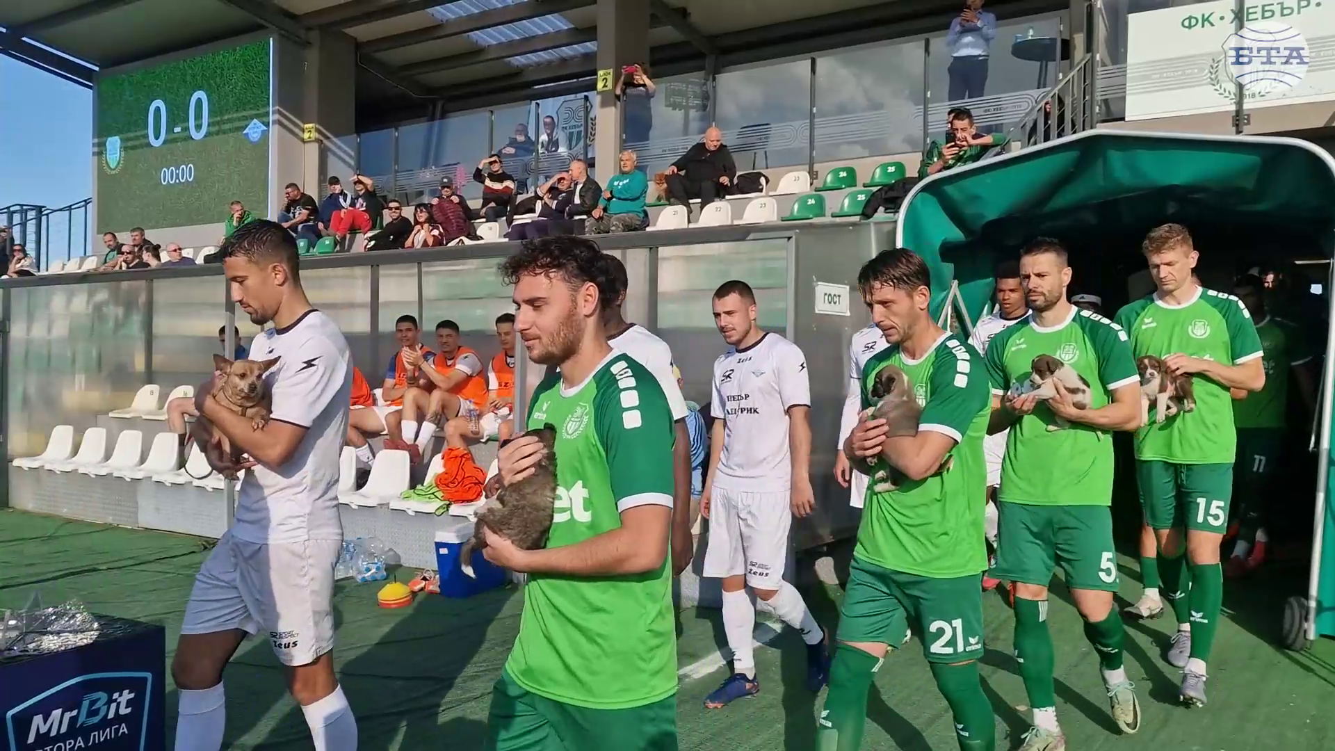 Футболистите на „Хебър“ (Пазарджик) излязоха на терена преди мач с бездомни кучета, търсещи осиновители