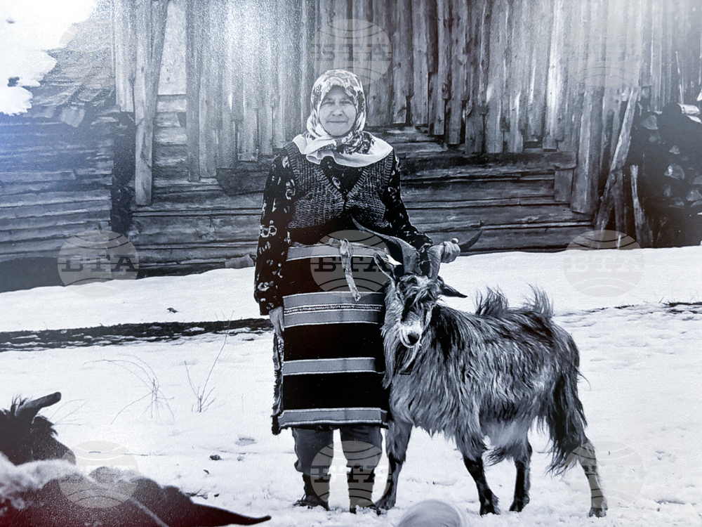 Самоков - Национална награда за фотографско изкуство „Анастас Карастоянов“ - церемония