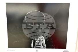 Самоков - Национална награда за фотографско изкуство „Анастас Карастоянов“ - церемония