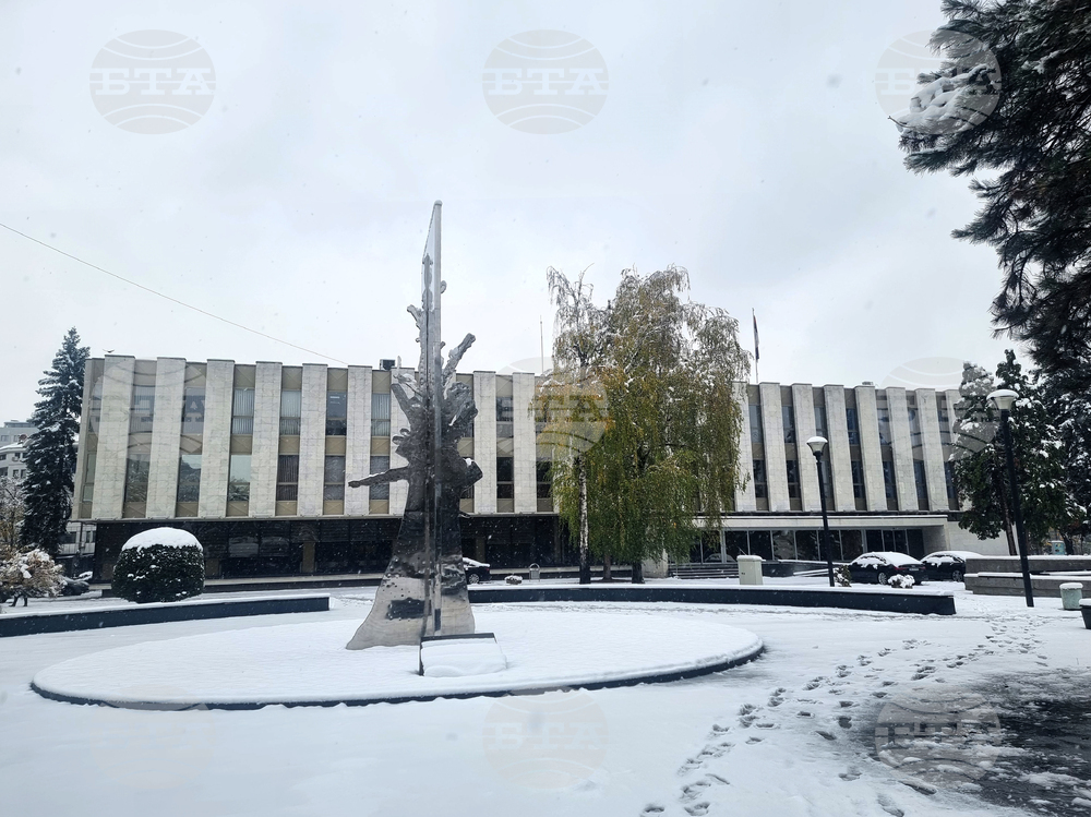 Парламентът на Република Сръбска в Босна и Херцеговина прие оставката на премиера Саво Минич