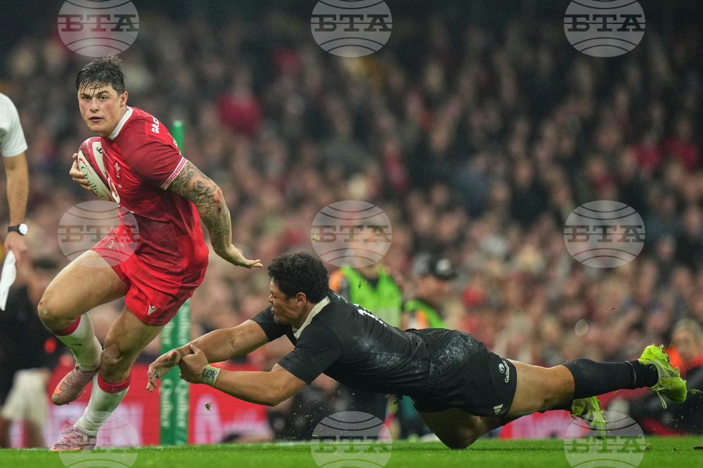 Wales New Zealand Rugby