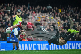 Wales New Zealand Rugby