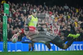 Wales New Zealand Rugby